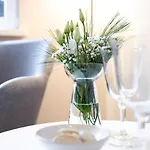 Bed & Breakfast Hof Woelper Raven 3*