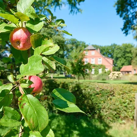 Hof Woelper Raven 3* Soderstorf