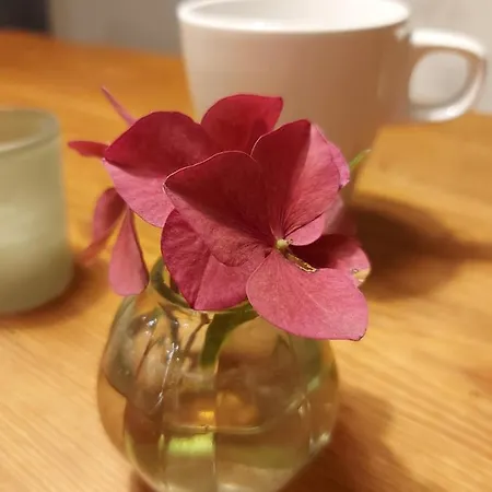 Bed and Breakfast Hof Woelper Raven Soderstorf