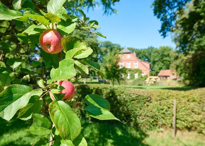 Hof Woelper Raven 3* Soderstorf