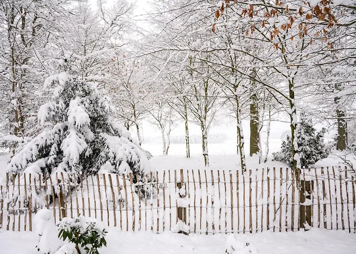 Hof Woelper Raven Отель типа 